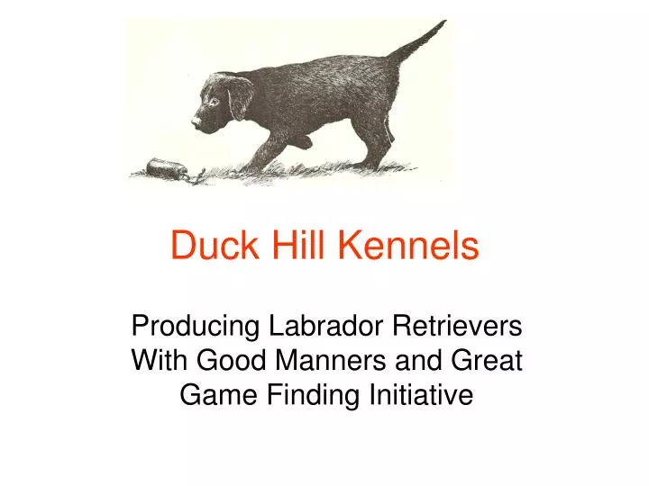 duck hill kennels