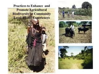 Practices to Enhance and Promote Agricultural Biodiversity at Community Level: PLEC Experiences