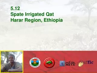 5.12 Spate Irrigated Qat Harar Region, Ethiopia