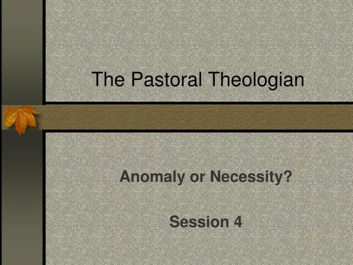 the pastoral theologian