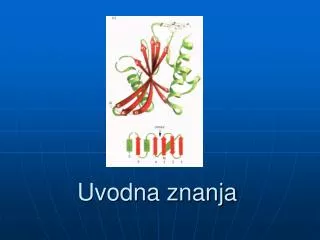 uvodna znanja