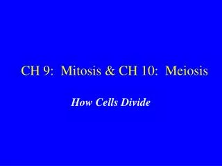 CH 9: Mitosis &amp; CH 10: Meiosis