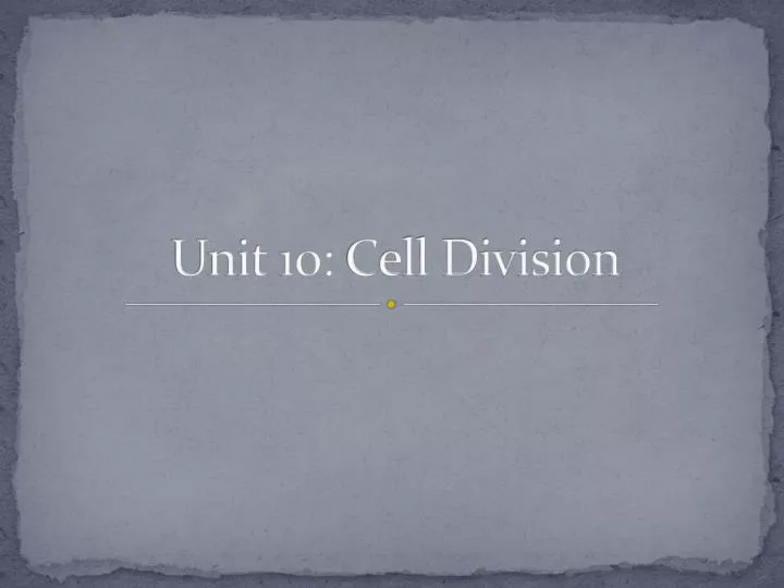 unit 10 c ell division