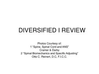 DIVERSIFIED I REVIEW