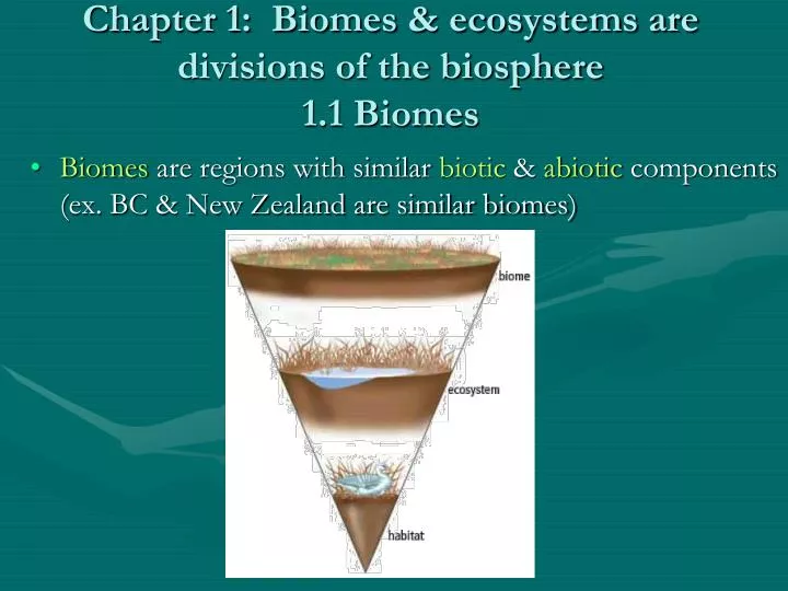 chapter 1 biomes ecosystems are divisions of the biosphere 1 1 biomes