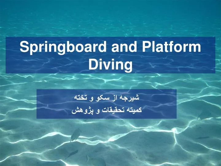 springboard and platform diving