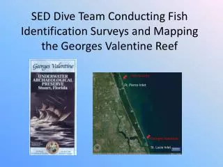 SED Dive Team Conducting Fish Identification Surveys and Mapping the Georges Valentine Reef