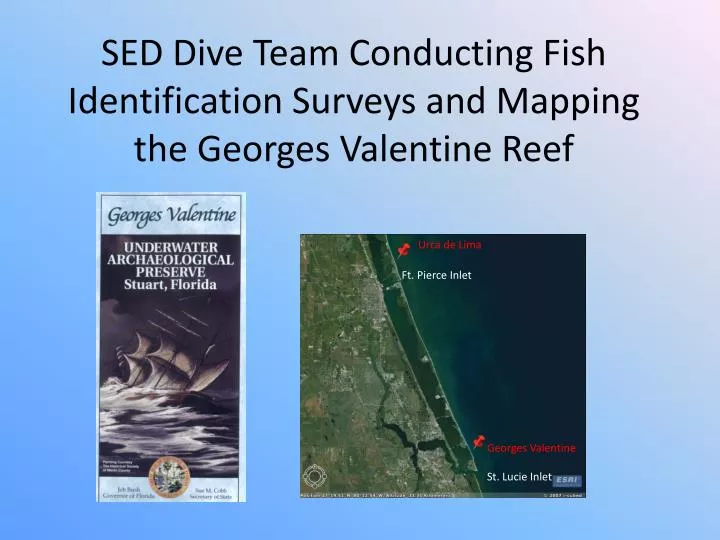 sed dive team conducting fish identification surveys and mapping the georges valentine reef