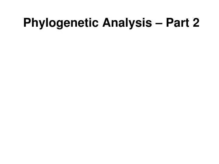 phylogenetic analysis part 2