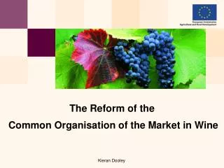 The Reform of the Common Organisation of the Market in Wine