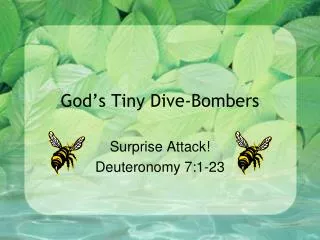God’s Tiny Dive-Bombers