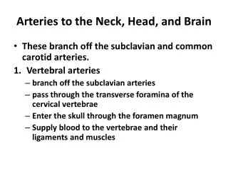 Arteries to the Neck, Head, and Brain