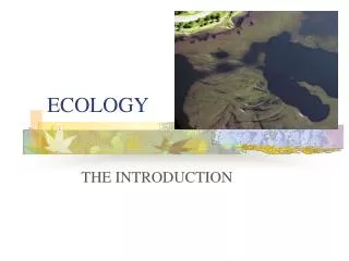 ECOLOGY