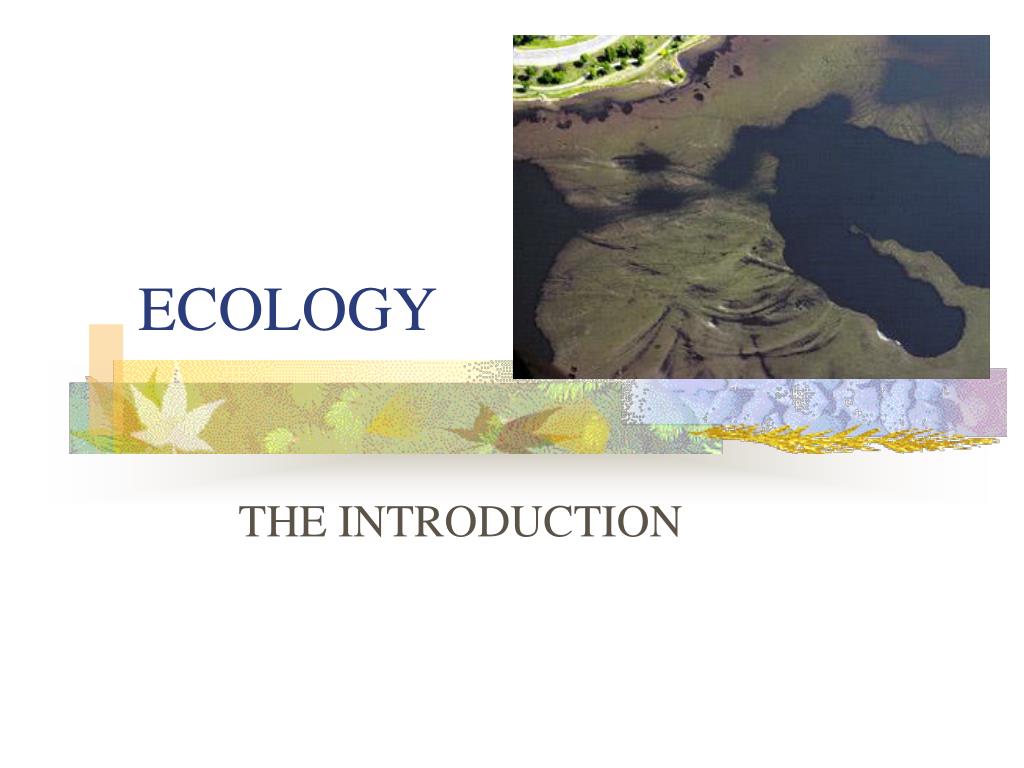 PPT - ECOLOGY PowerPoint Presentation, free download - ID:1820401