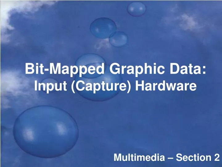 bit mapped graphic data input capture hardware
