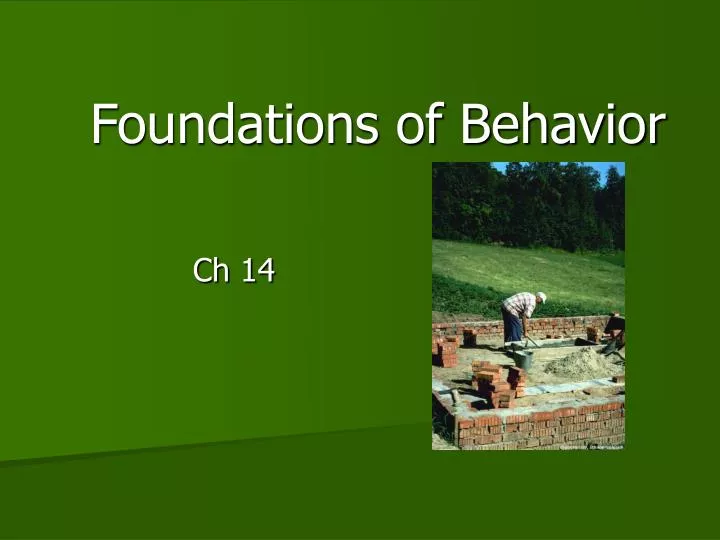foundations of behavior