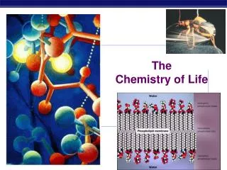 The Chemistry of Life