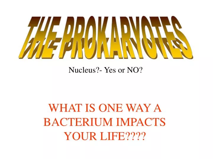 what is one way a bacterium impacts your life