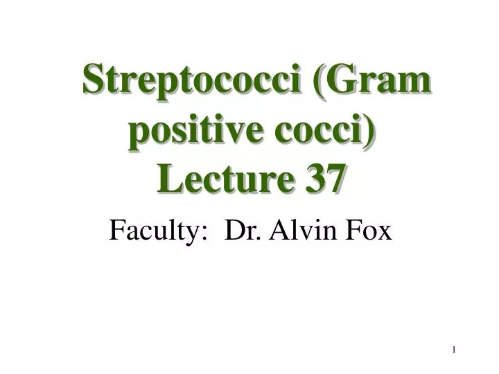 streptococci gram positive cocci lecture 37