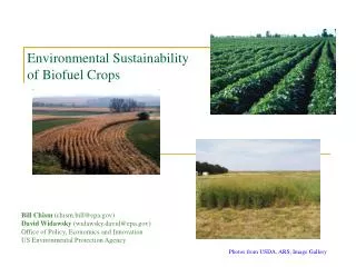 Environmental Sustainability of Biofuel Crops