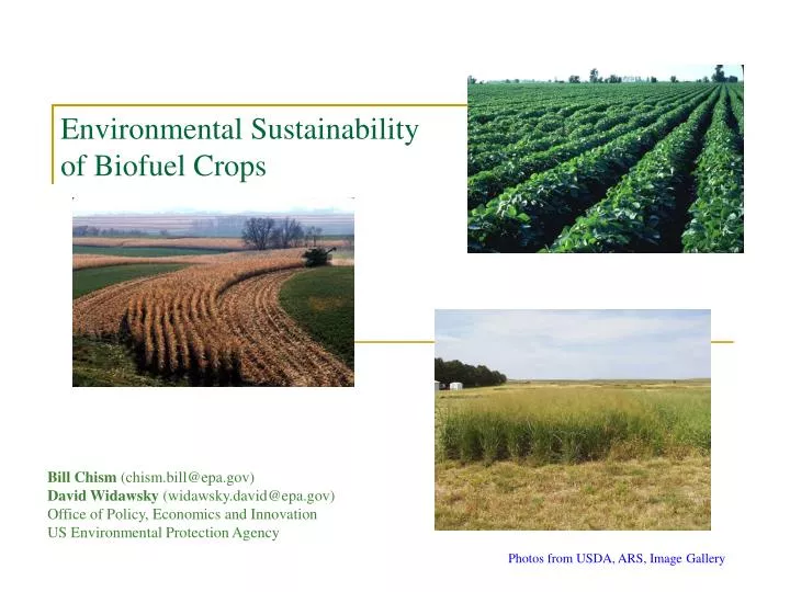 environmental sustainability of biofuel crops