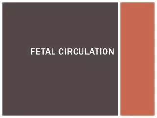 Fetal Circulation