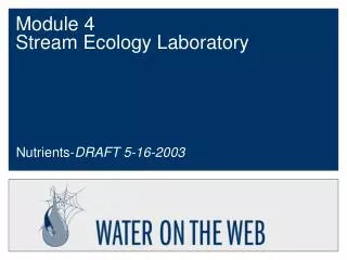 Module 4 Stream Ecology Laboratory