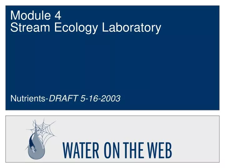 module 4 stream ecology laboratory