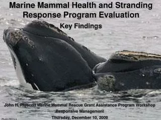 Marine Mammal Health and Stranding Response Program Evaluation Key Findings