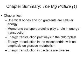 Chapter foci: Chemical bonds and ion gradients are cellular energy