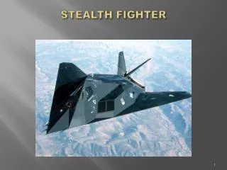 STEALTH FIGHTER