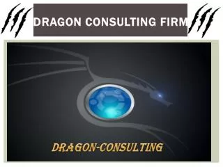 Dragon Consulting Firm