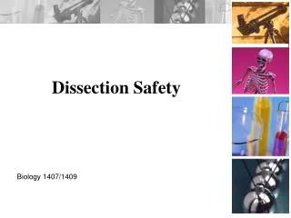 Dissection Safety