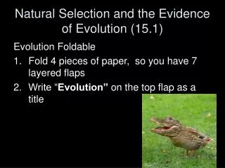 Natural Selection and the Evidence of Evolution (15.1)