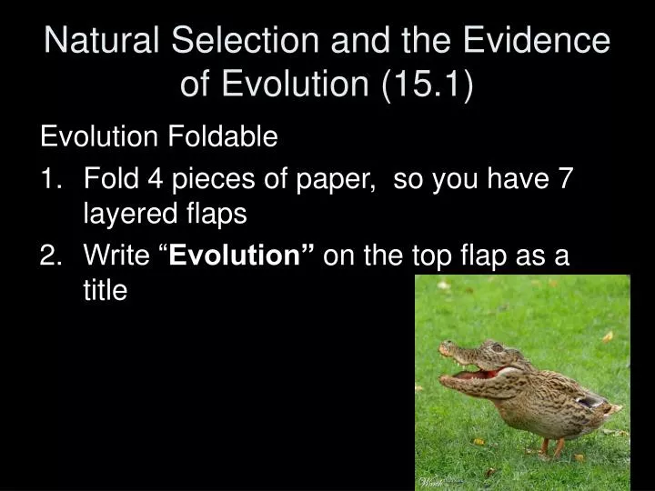 natural selection and the evidence of evolution 15 1
