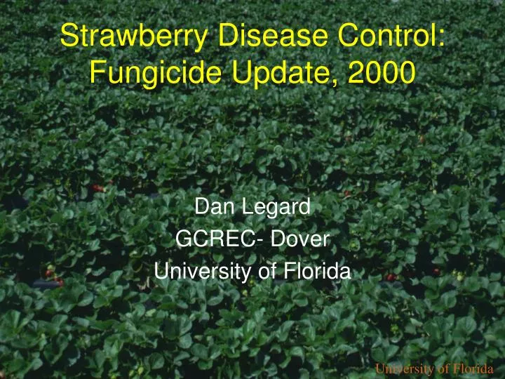 strawberry disease control fungicide update 2000