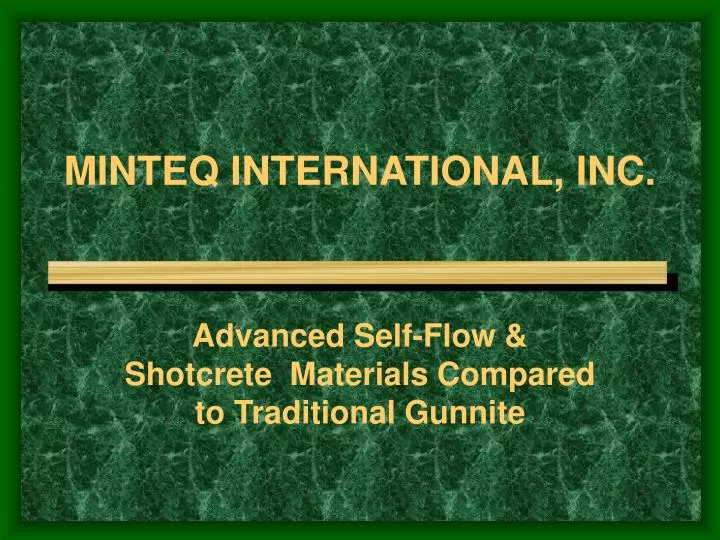 minteq international inc