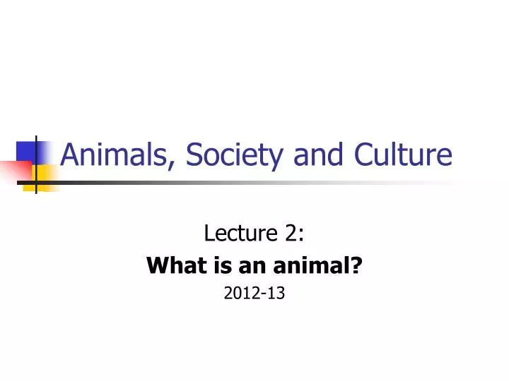 animals society and culture