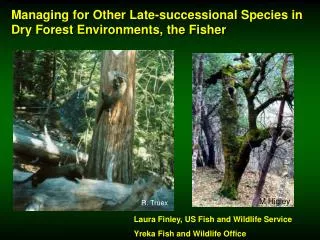 Managing for Other Late-successional Species in Dry Forest Environments, the Fisher