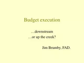 Budget execution