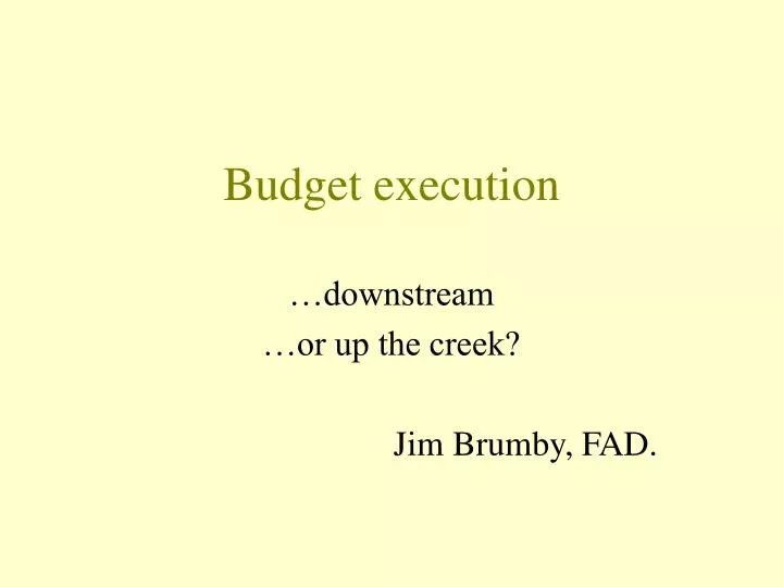 budget execution