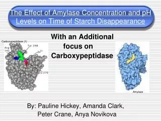 The Effect of Amylase Concentration and pH Levels on Time of Starch Disappearance