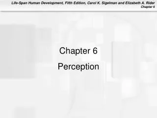 Chapter 6 Perception