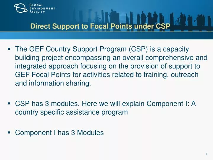 direct support to focal points under csp