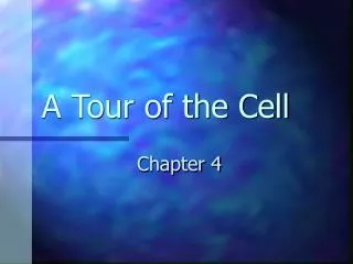 A Tour of the Cell