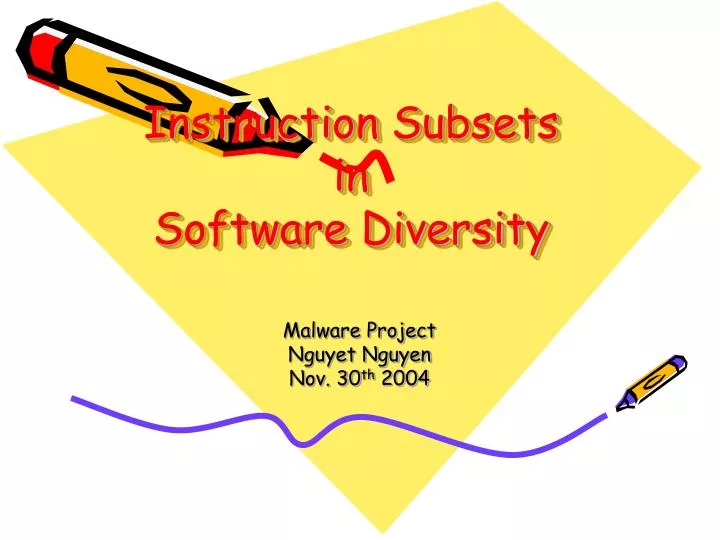 instruction subsets in software diversity