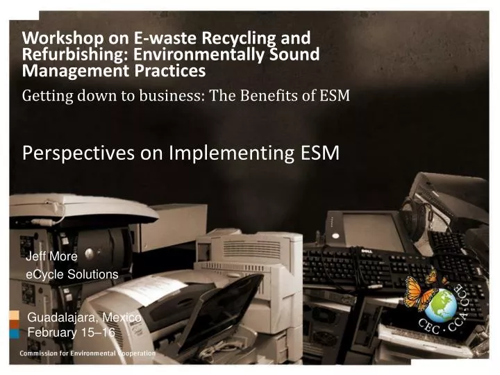 perspectives on implementing esm