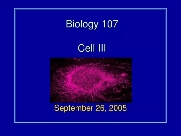 biology 107 cell iii