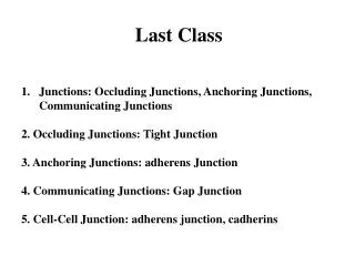 Last Class Junctions: Occluding Junctions, Anchoring Junctions, Communicating Junctions