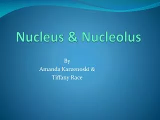 Nucleus &amp; Nucleolus